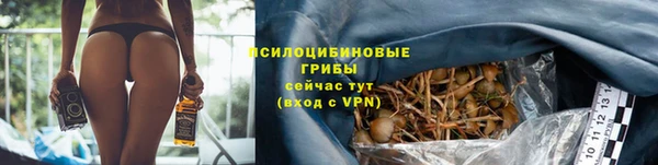 a pvp Липки