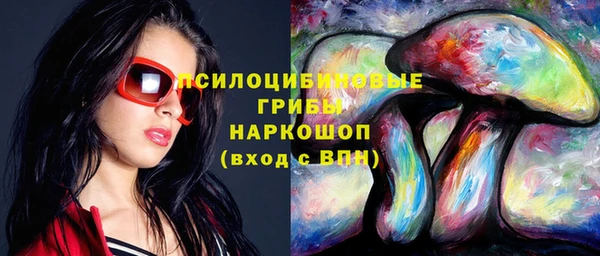 PSILOCYBIN Лихославль