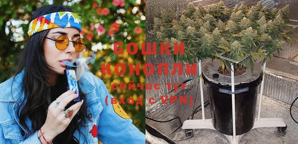 PSILOCYBIN Лихославль