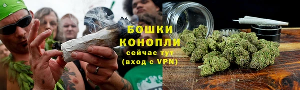 PSILOCYBIN Лихославль